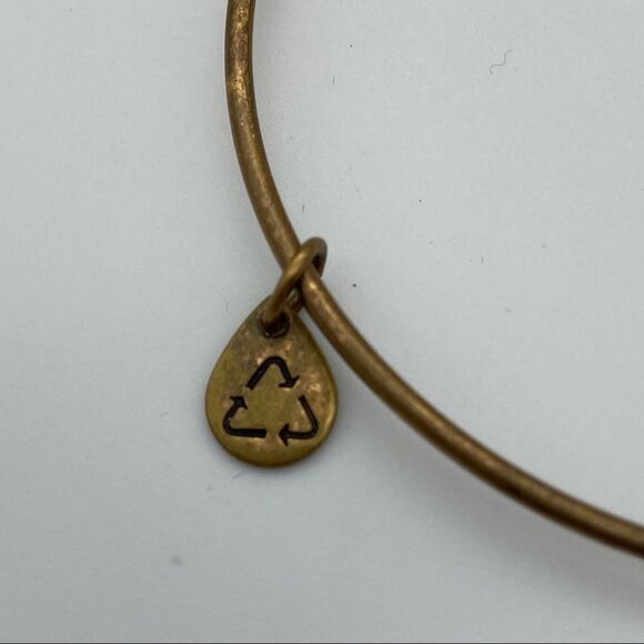 🍭6/$30 Alex & Ani Capricorn Charm Bracelet - Picture 3 of 5